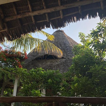Pasa Lodge Zanzibar Нунгви Екстериор снимка