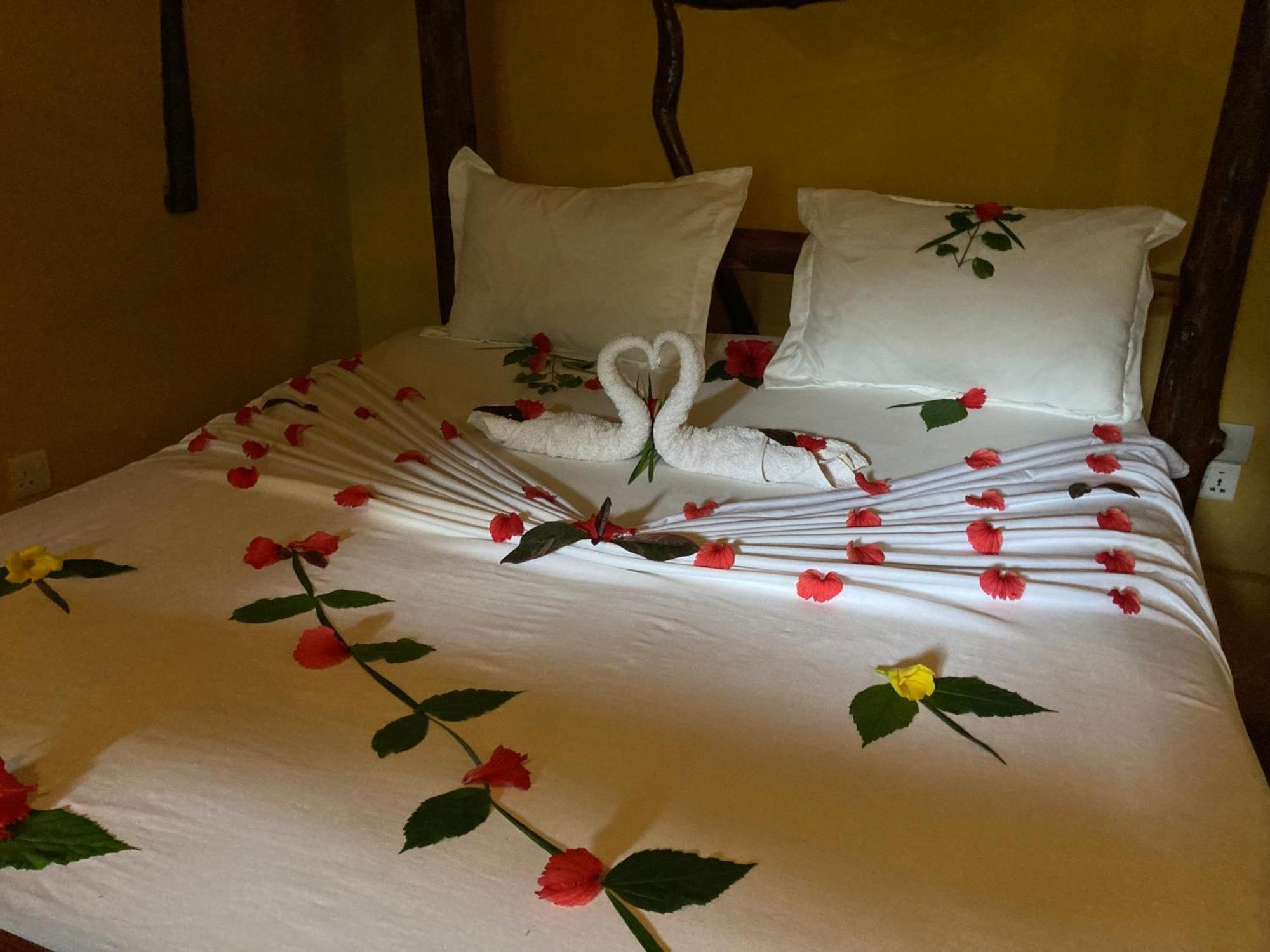 Pasa Lodge Zanzibar Нунгви Стая снимка