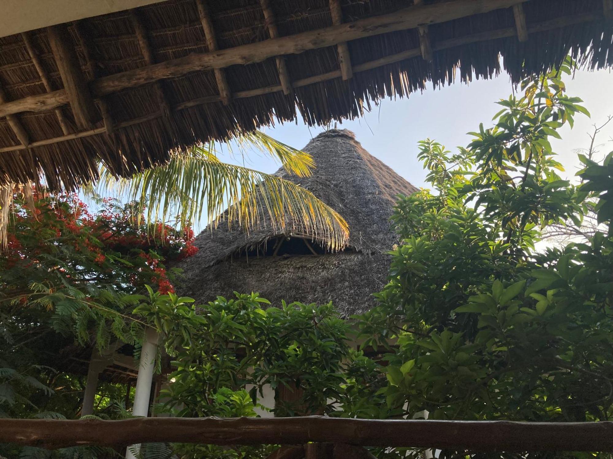 Pasa Lodge Zanzibar Нунгви Екстериор снимка