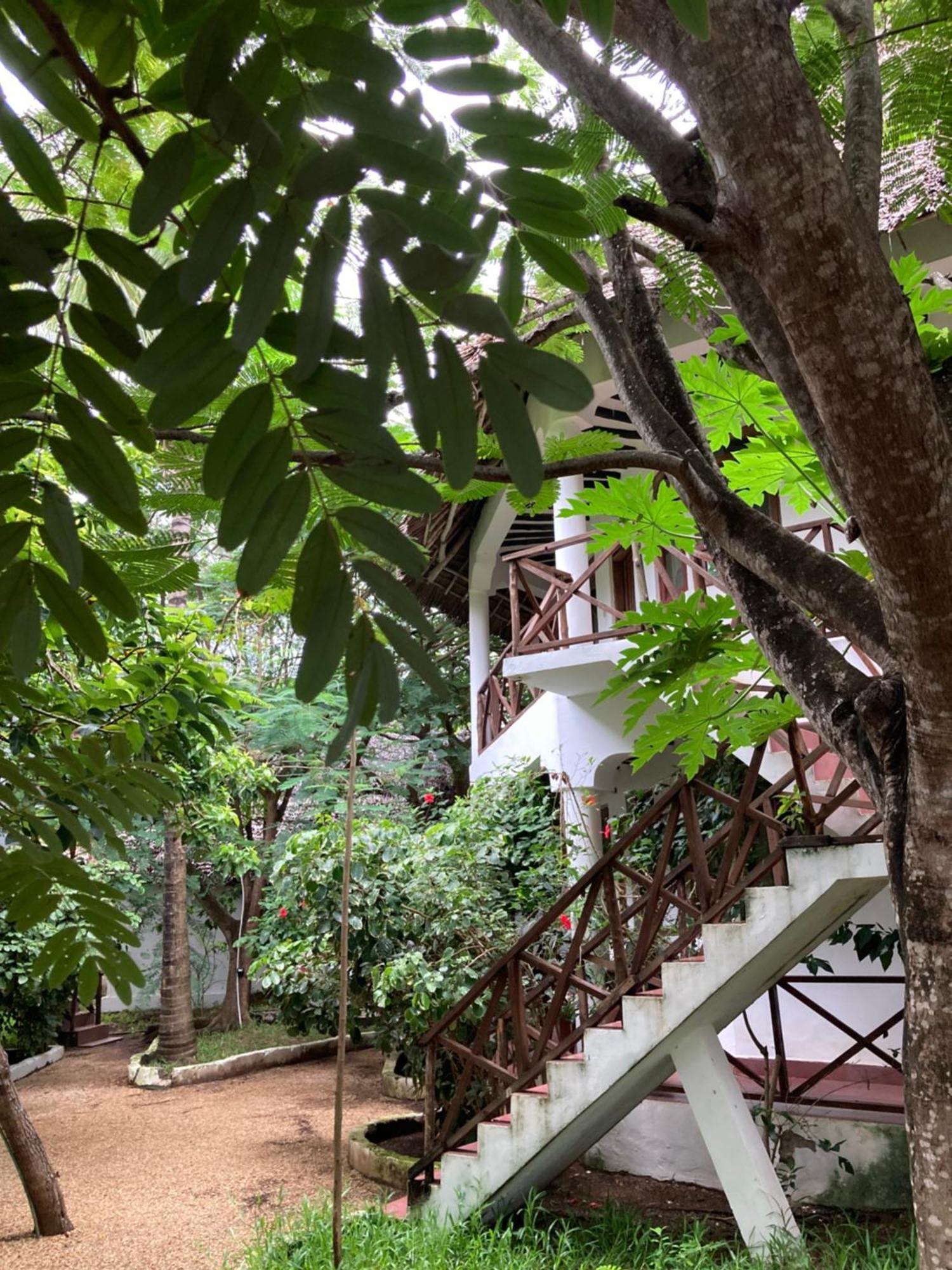 Pasa Lodge Zanzibar Нунгви Екстериор снимка